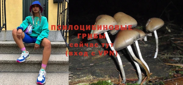 apvp Балабаново