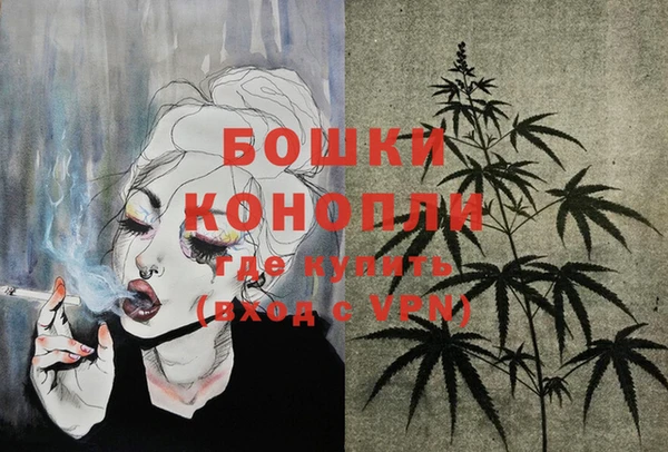 прущие крисы Белокуриха