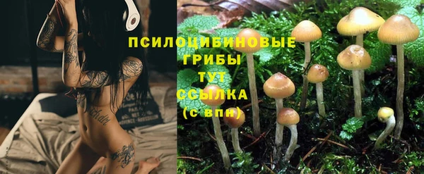 гашиш Ступино