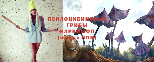 apvp Балабаново