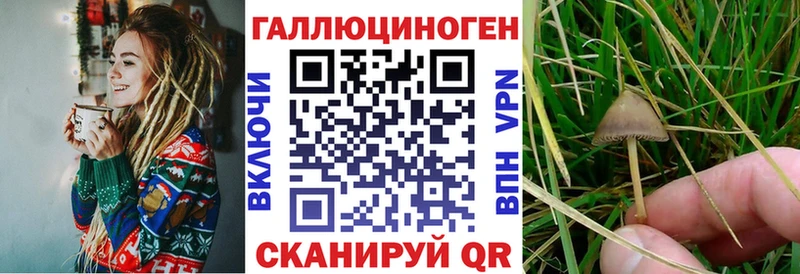Псилоцибиновые грибы Cubensis  ссылка на мегу онион  Краснокаменск 