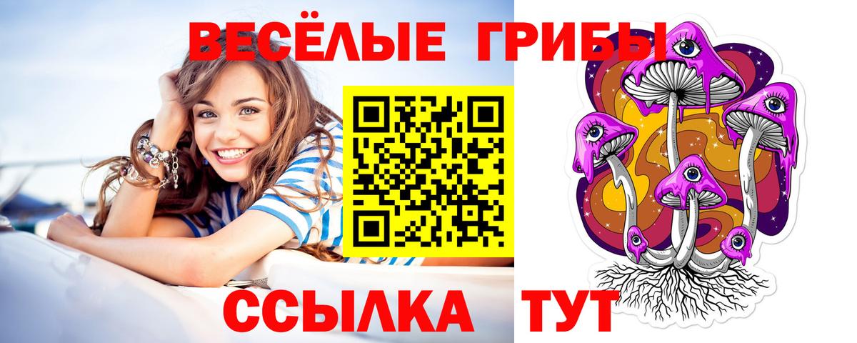 Галлюциногенные грибы GOLDEN TEACHER  Вход с VPN  Краснокаменск 